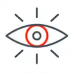 vision